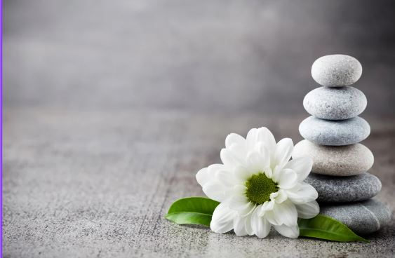 Wellnessbuzz - inspiring  health and wellness