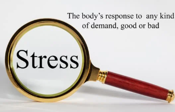 stress the word of beauty