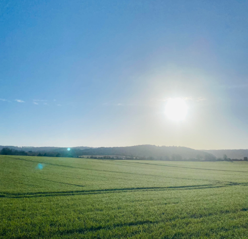 boost your well-being