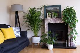 Cleanse and Raise the Energy