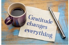 Stop Taking Things for Granted: Embracing Gratitude in Daily Life
